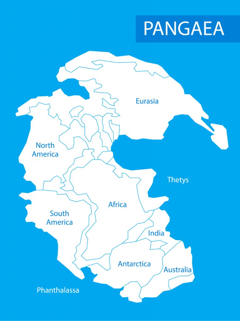 Karte des Superkontinents Pangäa mit den Grundrissen der größten Erdplatten.