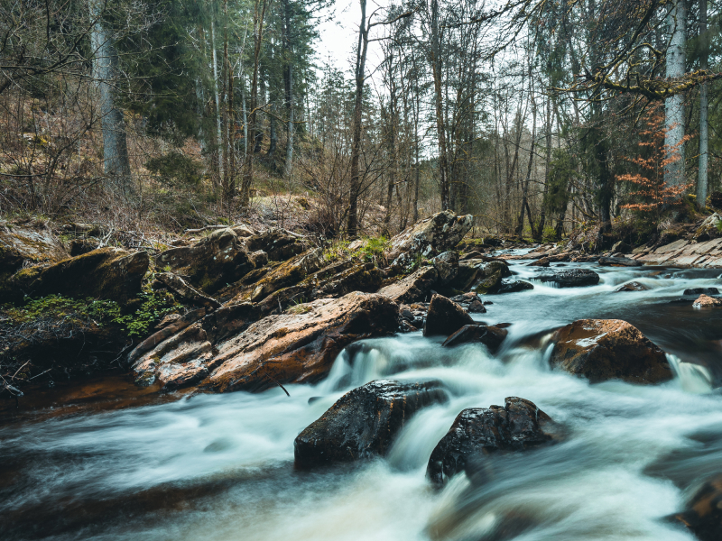 Ein Bachlauf in der Vulkaneifel. Durch die Erdkruste gelangt natürliches Fluorid ins Wasser.