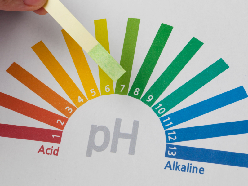 pH-Wert-Test mit Papierstreifen.