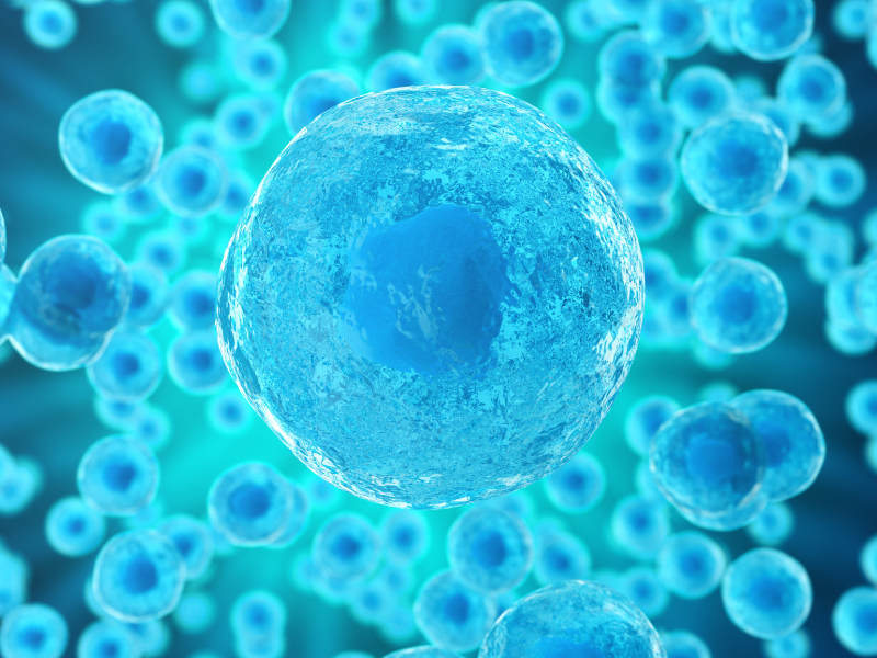 Körperzelle geschützt vor freien Radikalen